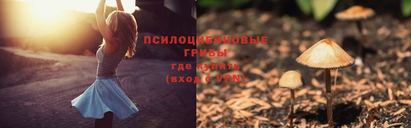 прущий лед Нефтекумск