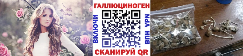 Галлюциногенные грибы ЛСД  сайты даркнета наркотические препараты  Шебекино 